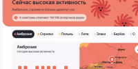 Жителей Ростовской области предупредили об активности пыльцы амброзии 31 августа - DonDay.Ru