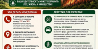 Действия при обнаружении природного пожара. - Пугачёвский район