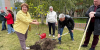 Живой символ праздника: в Уйме посадили яблони к юбилею «Малиновой Уймы» - Единая Россия