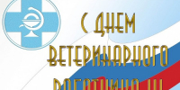 Нажмите для предварительного просмотра изображения - Быково-медиа