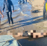 Тело 18-летнего парня достали из Волги у хутора Бобры в Волгоградской области - Комсомольская Правда