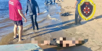 Тело 18-летнего парня достали из Волги у хутора Бобры в Волгоградской области - Комсомольская Правда