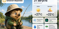 Какой будет погода в последний день уходящего лета в Воронеже? - Bloknot-Voronezh.Ru