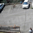 В Сочи бродячая собака напала на ребенка - SochiStream.Ru