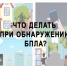 Памятка: Что делать при атаке БПЛА?. - Змеиногорский район