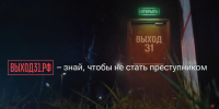 Проект «Выход31» рассказывает, как не попасться на уловки вербовщиков - Комитет цифрового развития