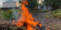 В Курской области разрешили посещать леса, но есть нюансы - Друг для Друга