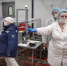 Делегация регионального Правительства посетила Красноярский свинокомплекс «СИБАГРО» - ИА Запад24