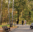 Синоптик рассказала, ждать ли нижегородцам бабьего лета - фото 1 - vGorodeN.Ru