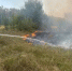 Крупный лесной пожар в Цимлянском районе локализовали на 221 гектаров  - DonDay.Ru