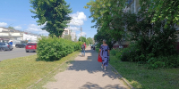Чтобы жить долго и спокойно, перестаньте быть добрым – будьте глупым: правило Бехтеревой - Progorod33.Ru