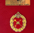 🎖 НОВЫЙ ЦЕННЫЙ ЭКСПОНАТ В КРАЕВЕДЧЕСКОМ МУЗЕЕ! - Краеведческий музей