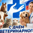 ПОЗДРАВЛЕНИЕ ЗАМЕСТИТЕЛЯ ГЛАВЫ ТАМБОВСКОЙ ОБЛАСТИ - МИНИСТРА СЕЛЬСКОГО ХОЗЯЙСТВА ОБЛАСТИ АЛЕНЫ СЫТОВОЙ С ДНЕМ ВЕТЕРИНАРНОГО РАБОТНИКА - Министерство сельского хозяйства