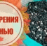 Осенние удобрения для огорода: как подготовить почву к зиме - Калтасинский район