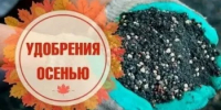 Осенние удобрения для огорода: как подготовить почву к зиме - Калтасинский район