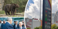 Бензин, медведь, СКИФ и Путин: чем запомнилось лето-2026 в Новосибирской области - Сиб.фм