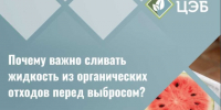 Сочная проблема: почему важно сливать жидкость из органических отходов перед выбросом. - Краснояружский район