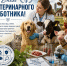 31 августа  - День ветеринарного работника - Комитет по ветеринарии