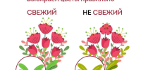Оренбуржцам рассказали, как выбрать цветы для школьного букета - Газета Оренбуржье