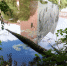 В Гусеве прошла объединённая акция «Вода России» и «Чистые берега Евразии» - Калининградская ГТРК