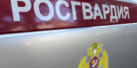 Ивановские росгвардейцы пресекли кражу на охраняемом объекте областного центра - Росгвардия