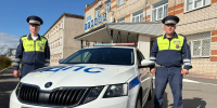 С мигалками к ветеринару: ивановские автоинспекторы спасли жизнь задыхающейся собаке - Известно.ру