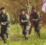 военные - ИА Nord-News.Ru
