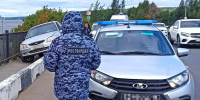 В Ижевске росгвардейцами задержан водитель, сбивший двух пешеходов - Росгвардия