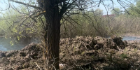 В Моршанске с владельца пирса на Цне взыскали ущерб, причиненный водному объекту - Комсомольская Правда