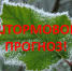 Экстренное предупреждение об угрозе чрезвычайной ситуации с 01 по 04 сентября 2026 года. - Администрация Кулундинского района