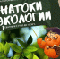 Краевой Эколого-биологический Центр проведёт открытую онлайн-викторину «Знатоки экологии», посвящённую Дню знаний - Министерство образования и науки