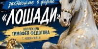 Выставка «Мгновения, застывшие в форме Лошади» - Управление культуры, спорта и молодежной политики