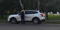 Фото: официальный портал правительства Вологодской области - Вологда-поиск