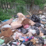 Стихийная свалка. Фото donland.ru - RuffNews.Ru