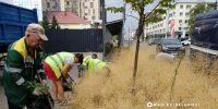 Почти 200 коммунальщиков вышли на плановую уборку Белгорода - Комсомольская Правда