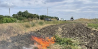 Полицейские в Георгиевском округе уничтожили более 190 кг наркорастений - Телеканал СвоёТВ