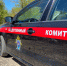 Следователями СК России по Тульской области возбуждено уголовное дело о нападении собак на жителей Киреевского района - Следственный комитет