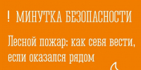 Лесной пожар: как себя вести, если оказался рядом - Министерство региональной безопасности