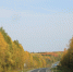 дорога, осень - V-Kurse.Ru