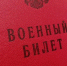 Военный билет - Петрозаводск говорит