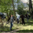 В последнем летнем субботнике приняли участие почти 3000 ульяновцев - Комсомольская правда