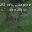 Поделитья во ВКонтакте - Братская Студия Телевидения