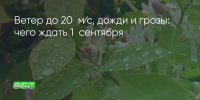 Поделитья во ВКонтакте - Братская Студия Телевидения