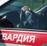 В Оренбурге росгвардейцы задержали несовершеннолетнюю, причастную к серии хищений алкоголя из магазина - Time56.Ru