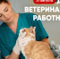 Уважаемые ветеринарные специалисты!. - Каратузский район