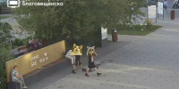 Сквер Бабочка в Благовещенске пострадал от рук вандалов видео - Amur.Life