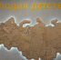 ФОТО к новости: Новых магистрантов ИД НГПУ встретила «Мелодия детства» - НГПУ