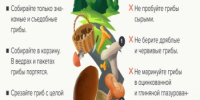 Как правильно выбирать и готовить грибы - Краснобаковский муниципальный округ