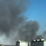 Пожар на кладбище в Волгодонске охватил 800 квадратных метров - DonDay.Ru