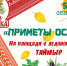 Дудинцев приглашают на ярмарочные гуляния - Город Дудинка